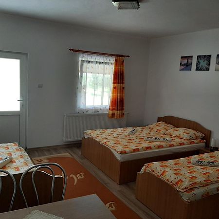 Kacso Apartma Ocna de Sus Extérieur photo