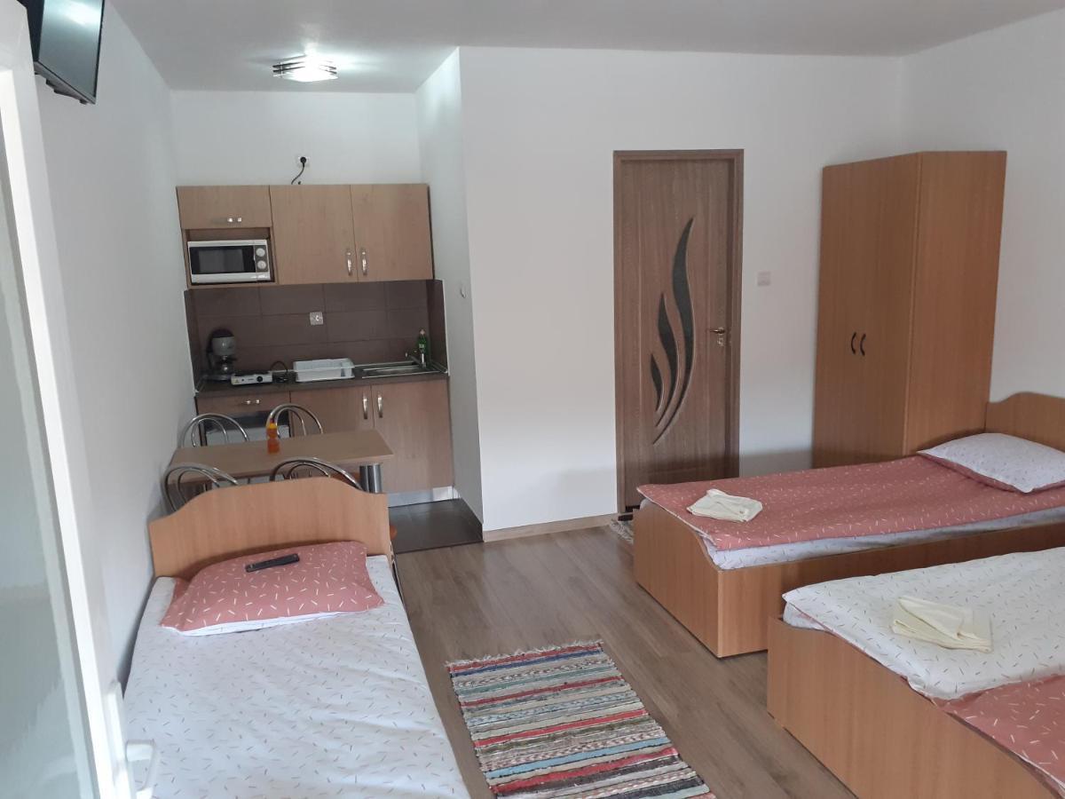 Kacso Apartma Ocna de Sus Extérieur photo