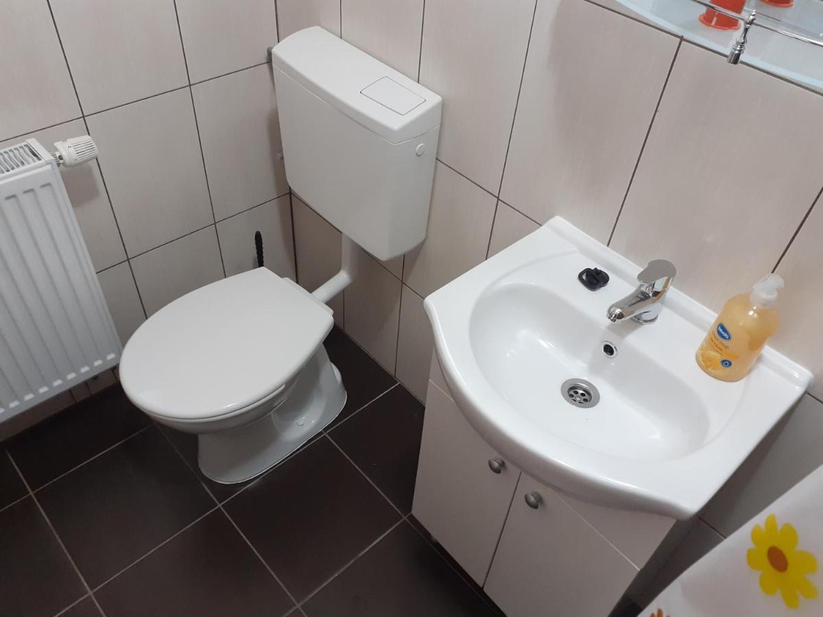 Kacso Apartma Ocna de Sus Extérieur photo