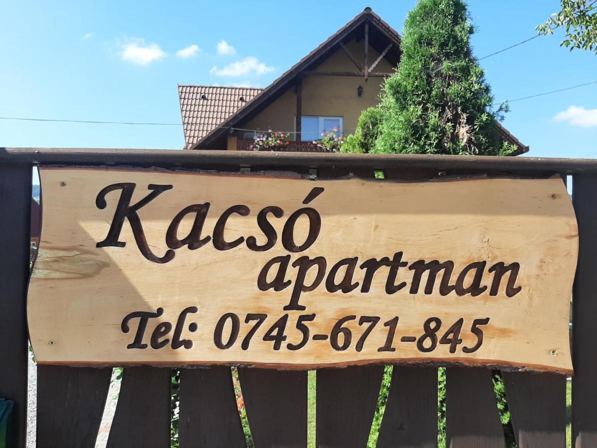 Kacso Apartma Ocna de Sus Extérieur photo