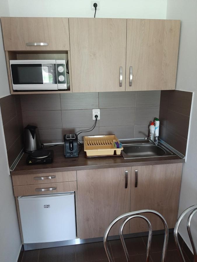 Kacso Apartma Ocna de Sus Extérieur photo