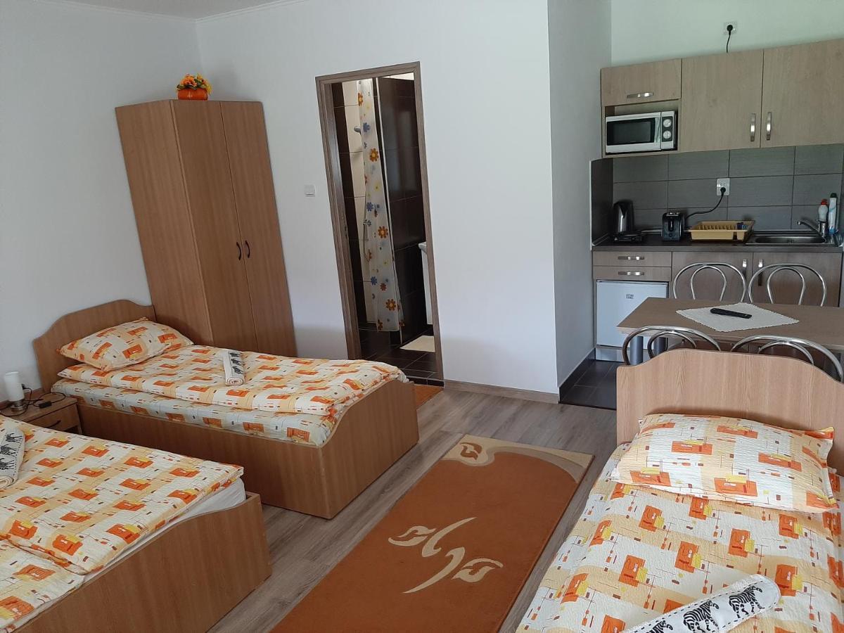 Kacso Apartma Ocna de Sus Extérieur photo